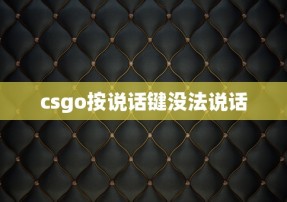 csgo按说话键没法说话