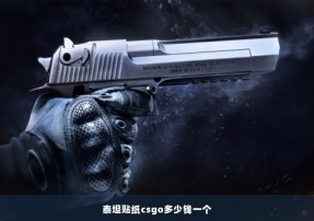 泰坦贴纸csgo多少钱一个