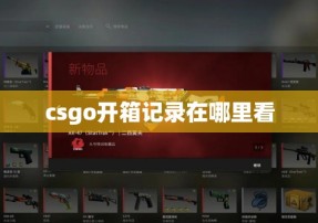 csgo开箱记录在哪里看