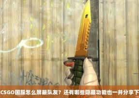 CSGO国服怎么屏蔽队友？还有哪些隐藏功能也一并分享下