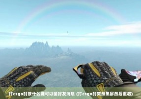 打csgo时按什么键可以回好友消息 (打csgo时突然黑屏然后重启)