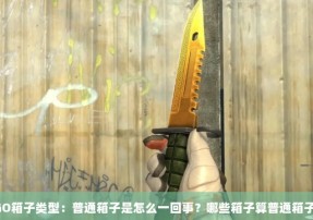 CSGO箱子类型：普通箱子是怎么一回事？哪些箱子算普通箱子呢？