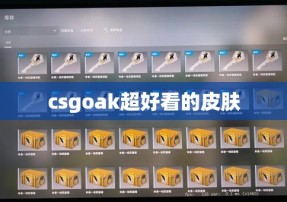 csgoak超好看的皮肤