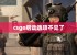 csgo启动选项不见了