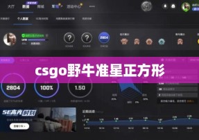 csgo野牛准星正方形