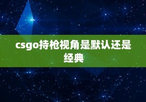 csgo持枪视角是默认还是经典