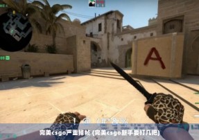 完美csgo严重掉帧 (完美csgo新手要打几把)