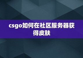 csgo如何在社区服务器获得皮肤