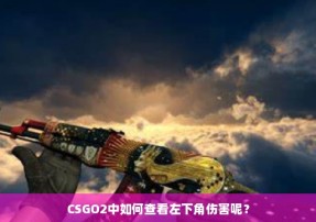 CSGO2中如何查看左下角伤害呢？