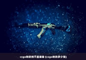 csgo粉的枪不能装备 (csgo粉的多少钱)