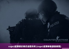 csgo2武器箱价格还会回升吗 (csgo2武器装备替换教程)