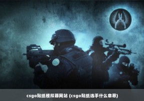 csgo贴纸模拟器网站 (csgo贴纸选手什么意思)