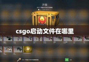 csgo启动文件在哪里