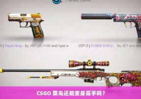 CSGO 菜鸟还能变身高手吗？