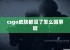 csgo皮肤都没了怎么回事啊