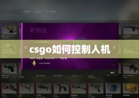 csgo如何控制人机