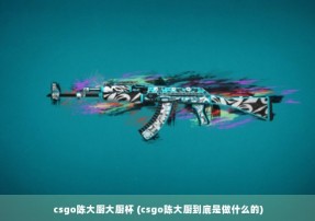 csgo陈大厨大厨杯 (csgo陈大厨到底是做什么的)