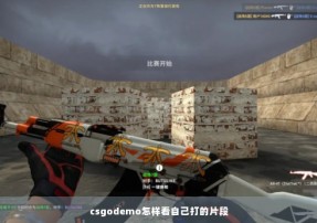 csgodemo怎样看自己打的片段