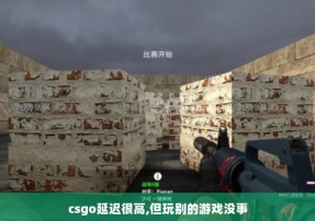 csgo延迟很高,但玩别的游戏没事