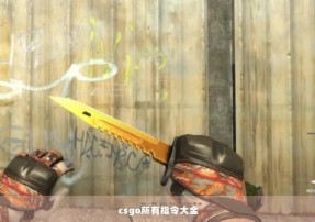 csgo所有指令大全