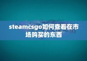 steamcsgo如何查看在市场购买的东西