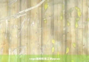 csgo练枪创意工坊yprac