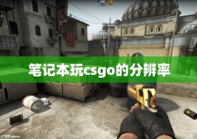 笔记本玩csgo的分辨率