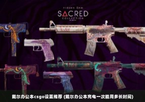 戴尔办公本csgo设置推荐 (戴尔办公本充电一次能用多长时间)