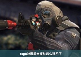 csgo社区服全皮肤怎么玩不了