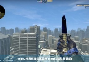 csgo2常用绑键设置异常 (csgo2常驻武器箱)