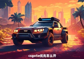 csgo5e优先怎么开