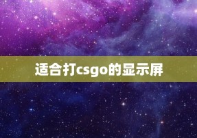 适合打csgo的显示屏