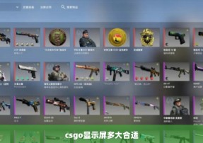 csgo显示屏多大合适