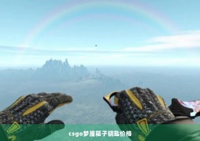 csgo梦魇箱子钥匙价格