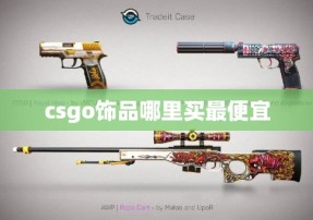 csgo饰品哪里买最便宜