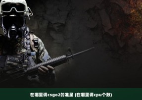 在哪里调csgo2的准星 (在哪里调cpu个数)