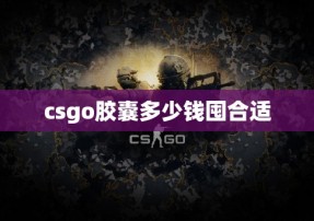 csgo胶囊多少钱囤合适