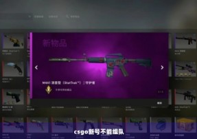 csgo新号不能组队