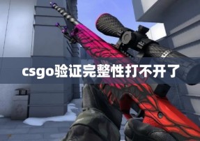 csgo验证完整性打不开了