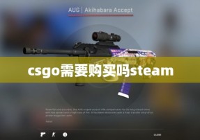 csgo需要购买吗steam