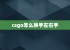 csgo怎么换手左右手