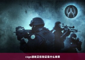 csgo游戏正在验证是什么意思