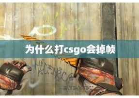 为什么打csgo会掉帧