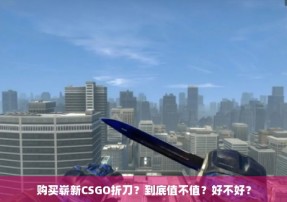 购买崭新CSGO折刀？到底值不值？好不好？