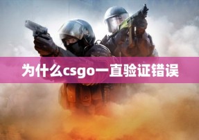 为什么csgo一直验证错误