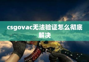 csgovac无法验证怎么彻底解决