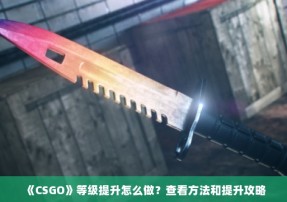 《CSGO》等级提升怎么做？查看方法和提升攻略