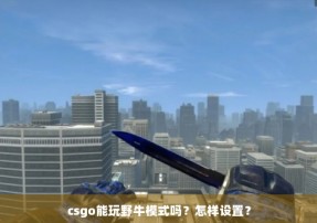 csgo能玩野牛模式吗？怎样设置？