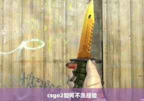 csgo2如何不涨经验