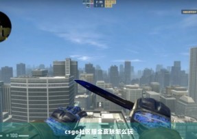 csgo社区服全皮肤怎么玩